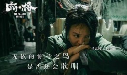 电影断桥爆料了吗视频,爆料视频揭露电影制作幕后故事