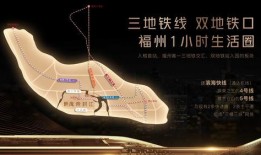 凤凰台新闻爆料,揭秘重大新闻事件背后真相