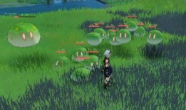 草神爆料动画视频大全