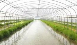 爆料养虾大棚视频教程全集,视频教程全集深度解析