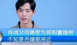 爆料肖战爸妈视频播放,揭秘明星家庭日常