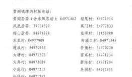 睢县最新爆料消息公布,揭秘背后惊人真相！