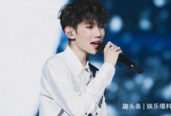 娱乐大爆料王源完整版,揭秘明星背后的故事与成长历程