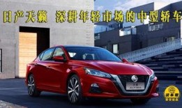 新款天籁爆料视频播放下载,视频播放下载亮点抢先看