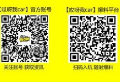长沙事件爆料视频播放,惊人一幕引发社会关注