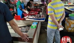 娱乐吃瓜菌恋爱,甜蜜瓜田里的浪漫邂逅