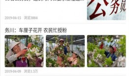 务川今日爆料新闻,揭秘当地热点事件背后的真相