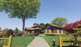 寻乌交通爆料最新消息查询,寻乌交通爆料揭示最新进展