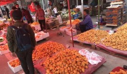 娱乐市场有瓜吃吗,揭秘那些你不知道的幕后故事