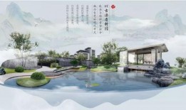 卓尔古筝爆料最新消息,揭秘古筝界的神秘传奇