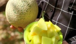 娱乐市场有瓜吃吗,揭秘那些你不知道的幕后故事