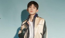 娱乐大爆料王源完整版,揭秘明星背后的故事与成长历程