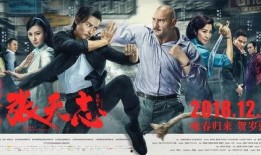 功夫片在线观看,在线重温经典武侠风潮