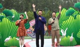 肥西女婿爆料视频最新