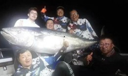 钓鱼男海王爆料视频播放,钓鱼男海王爆料视频播放背后的惊人真相