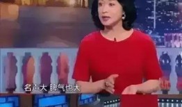 明星大爆料齐豫视频播放,明星大爆料背后的故事