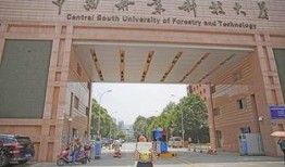 长沙学院爆料事件视频,视频揭露校园疑云真相