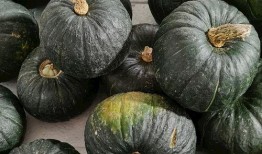 俄罗斯网红吃瓜图片,吃瓜瞬间引发网友热议！