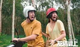 在线观看友情以上