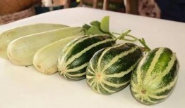 俄罗斯网红吃瓜图片,吃瓜瞬间引发网友热议！