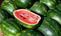 俄罗斯网红吃瓜图片,吃瓜瞬间引发网友热议！