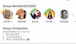 绵阳网红吃瓜群微信群号,揭秘微信群号的魅力与社交圈层