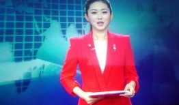 关于主持人的新闻爆料,主持人新闻爆料背后的真相揭晓