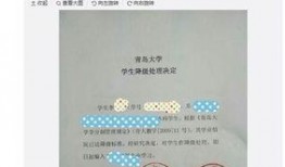 青岛大学最新爆料,揭秘校园新动态与重大改革举措