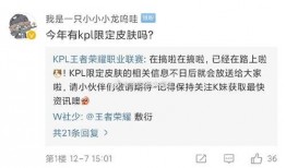 最新皮肤爆料信息大全,揭秘热门英雄新装亮相