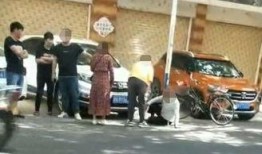 海丰爆料网碰瓷视频,真相究竟如何？