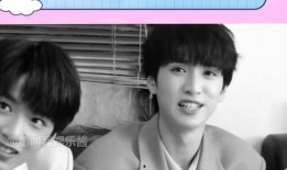 刘大锤爆料张真源的视频,揭秘背后惊人真相