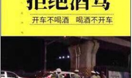荣昌酒驾新闻爆料视频,视频揭露惊险一幕，警方紧急处置