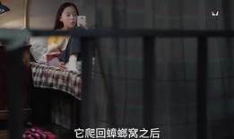 光洙姐姐爆料视频大全集,揭秘娱乐圈幕后真相