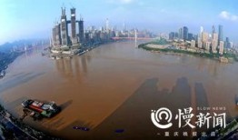 重庆洪水最新爆料信息网,紧急救援与灾情实时追踪