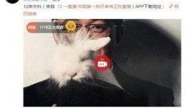陈赫徐峥爆料事件视频完整版,视频完整版揭露惊人内幕