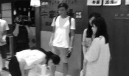 哺乳在线观看视频,探索哺乳动物世界的奥秘之旅