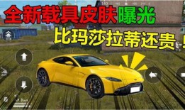 新玛莎皮肤爆料视频,揭秘爆料视频中的亮点与细节