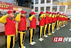 向阳小学爆料视频播放,揭秘校园生活瞬间