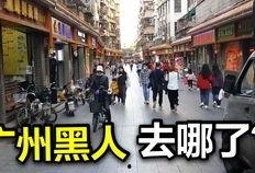广州小北事件爆料视频,揭秘背后真相与争议