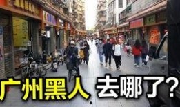 广州小北事件爆料视频,揭秘背后真相与争议