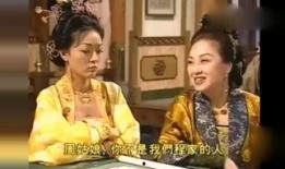 锦绣良缘在线观看,浪漫邂逅，缘定三生
