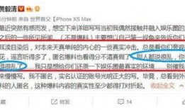 娱乐圈2月爆料什么意思,揭秘明星幕后真相与情感纠葛