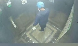 东莞外卖爆料视频大全集,揭秘美食背后的故事