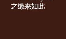 缘来如此在线观看,一段跨越时空的浪漫邂逅
