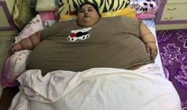 博主爆料胖女生下跪视频,博主爆料背后的真相