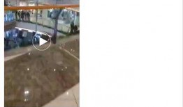 网友爆料坠楼视频真实吗,真相究竟如何？