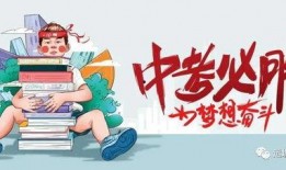襄阳建桥最新爆料消息视频,震撼视频曝光，工程进展一览无余