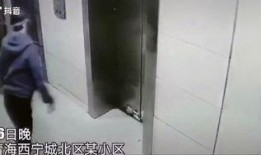青海抖音爆料视频,神秘事件引发网友热议