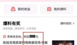 今日头条怎么爆料赚钱,轻松变现，人人可参与