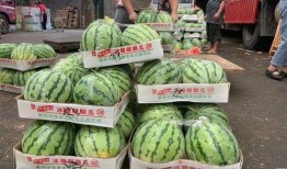 网红吃瓜网站真的假的,真假难辨，真相大白